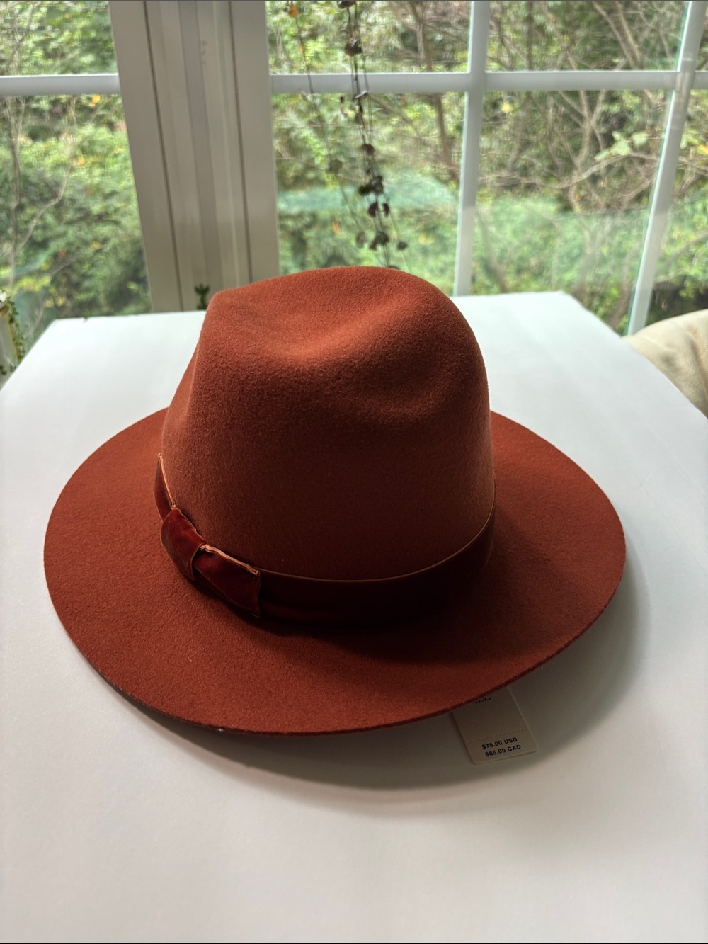 anthropologie women wool Felt Fedora Hat - brown